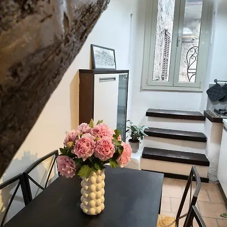 La Dama Stanca *